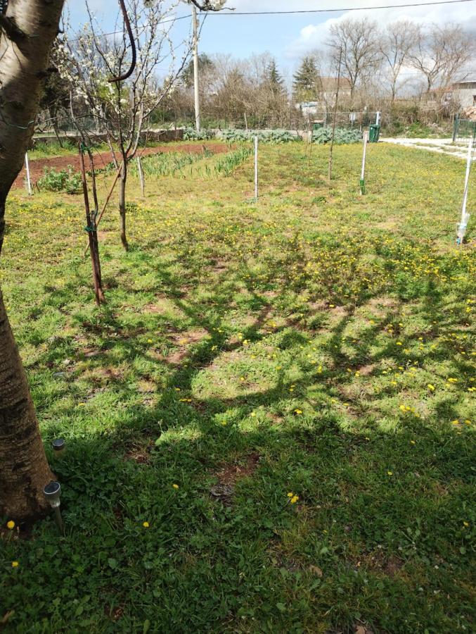Apartman Enia Murvica  Dış mekan fotoğraf