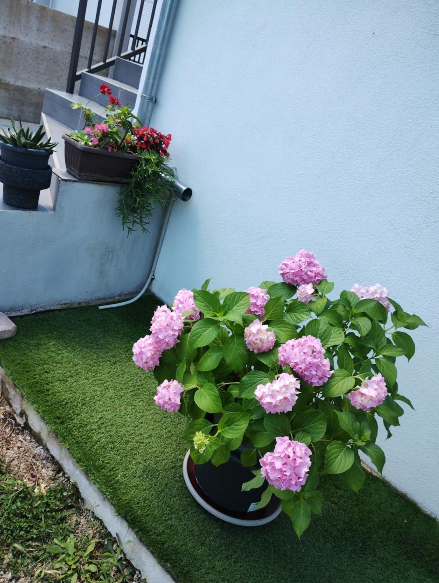 Apartman Enia Murvica  Oda fotoğraf